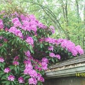 Jan Blasingame's photo