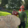 Clark Tree Services's profile photo