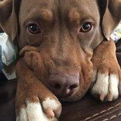 Debbie Schroeder Dixon's photo