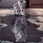 Cristian Lonati's photo