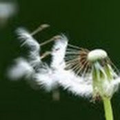 maryam j's photo