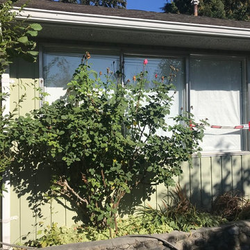 Port Moody Asbestos Removal