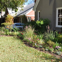 front landscaping