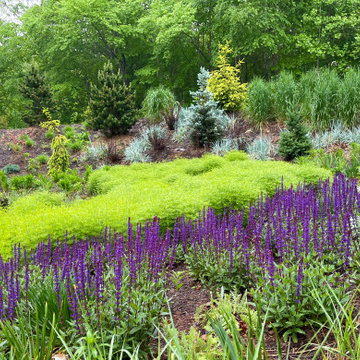 Front garden in late May, 2021