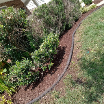 Our Work