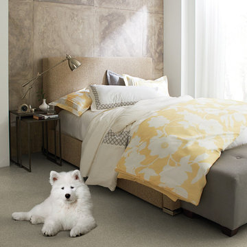 Tuftex STAINMASTER® Collection