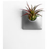 Modern Wall Planter, 3" Node, X Small, Ceramic, Medium Gray