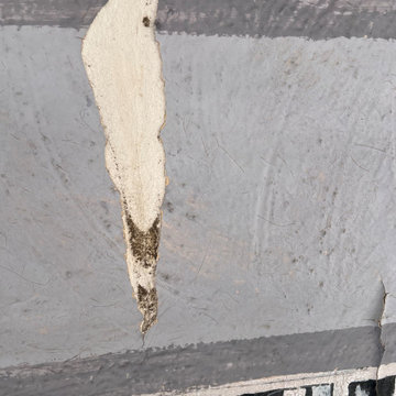Michigan State Fair Coliseum: Portico Mural Restoration