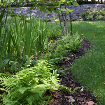 Woodland Garden