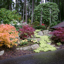 Lisa’s Woodland Garden