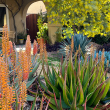 Patio Ideas