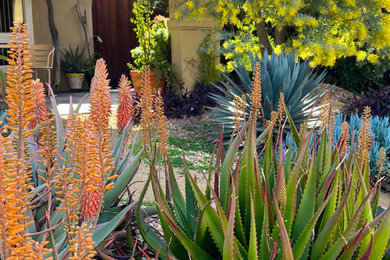 Design ideas for a contemporary front yard xeriscape in Los Angeles.