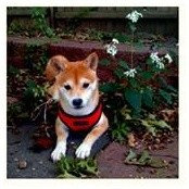 Paul Wang's photo