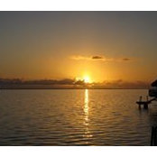 Jennifer Sun's photo