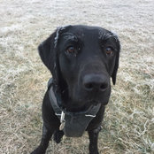 Liz Luxton's photo