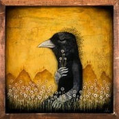 Jenn Jennings's photo