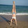 webuser_83003