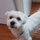 keithandkaren_schneider