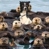 Foto von Eileen Anderson
