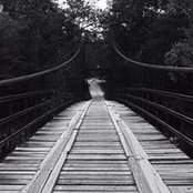 Julie Waldrop's photo