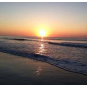 Debbie Mouberry's photo