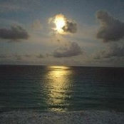 Steven Lee's photo