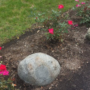 Outdoor Enhancement