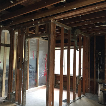 Complete gut kitchen renovation