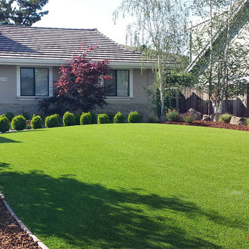 Global Syn-Turf artificial grass in Palo Alto, CA