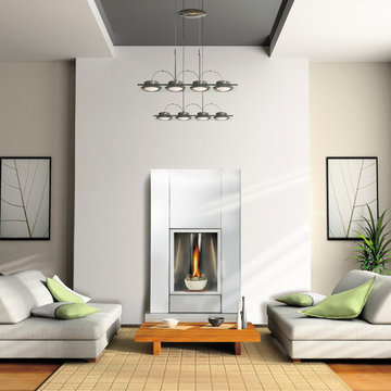 Napoleon Fireplace Gallery