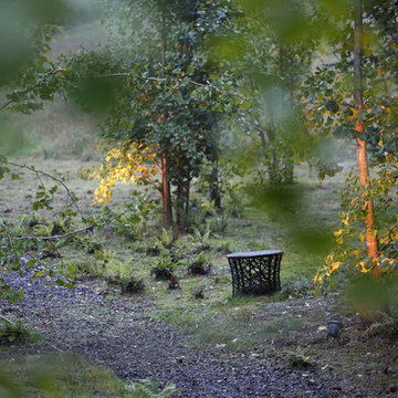Jardin "sauvage" dans les pyrénées