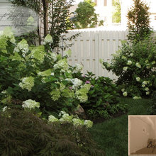 Backyard Landscape