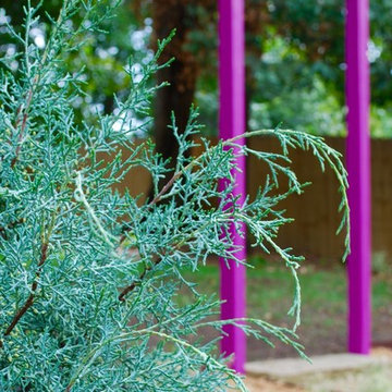 Arizona cypress with violet arbor
