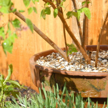 Small Oxford garden