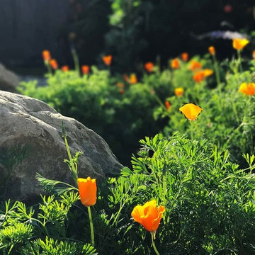 2018 Native Plant Garden Tour