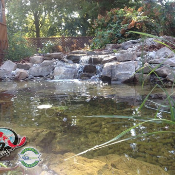 KOI Pond, Backyard Pond & Small Pond Ideas for your Kentucky Landscape