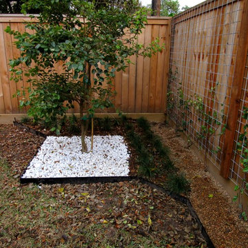 Spring Branch, Making Modern More Modern!