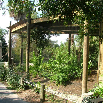 Audubon Zoo - Talapoin & Toucan Animal Exhibit (2008)