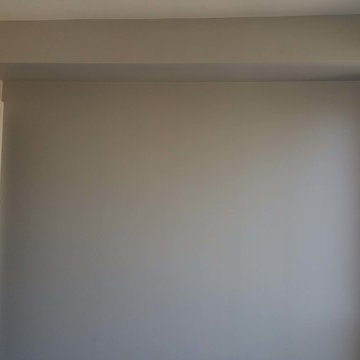 Condo Painters Pro 2015