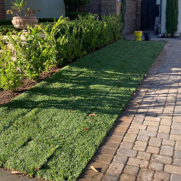 Our Work