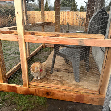 Catio
