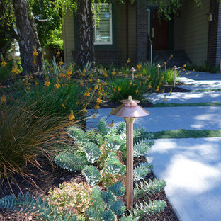 サンフランシスコの中サイズの、冬のモダンスタイルのおしゃれな前庭 (庭への小道、コンクリート敷き	、半日向) の写真