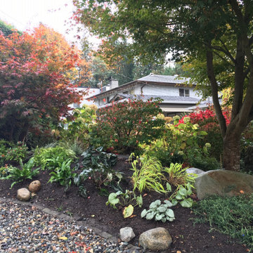 Shade Garden Re-Vamp