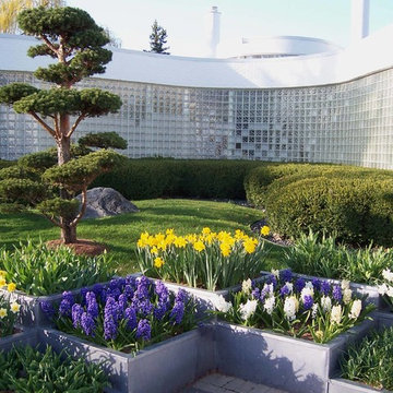 Modern Planter Boxes