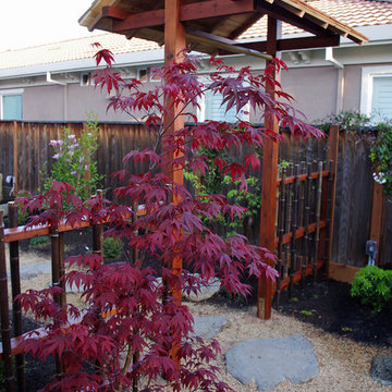 Japanese Garden, Contemporary Garden, California Garden