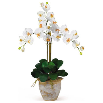Triple Phalaenopsis Silk Orchid Flower Arrangement, Cream