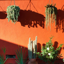 Front Landscaping