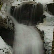 Daphanie Joyner's photo