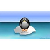 Terry Mooney's photo