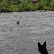 Melanie Getreuer's photo